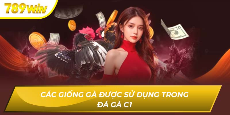 Các giống gà được sử dụng trong đá gà C1