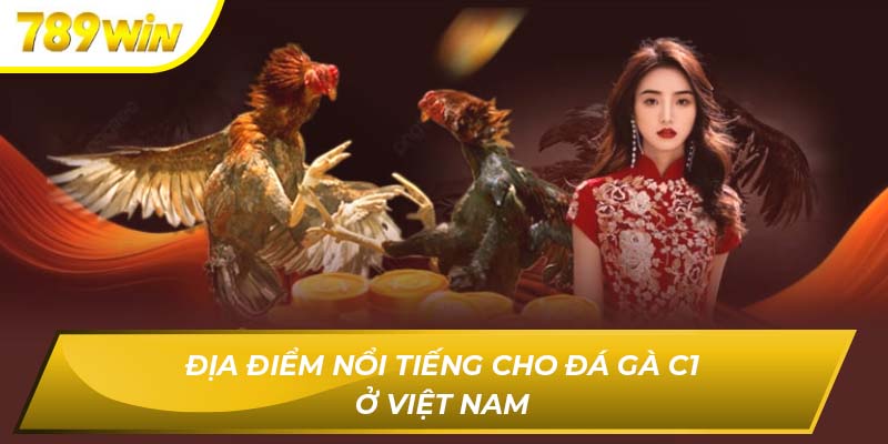 Địa điểm nổi tiếng cho đá gà C1 ở Việt Na