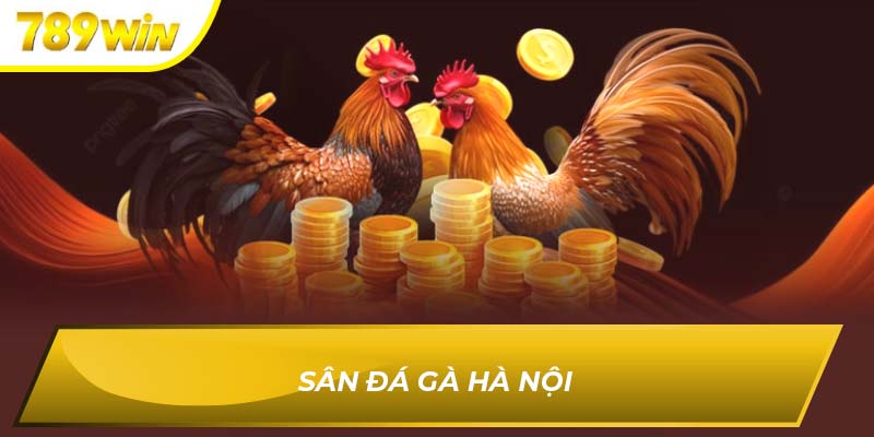 Sân đá gà Hà Nội